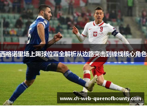 西格诺里场上踢球位置全解析从边路突击到锋线核心角色