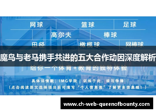 魔鸟与老马携手共进的五大合作动因深度解析
